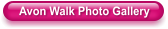 Avon Walk Photo Gallery